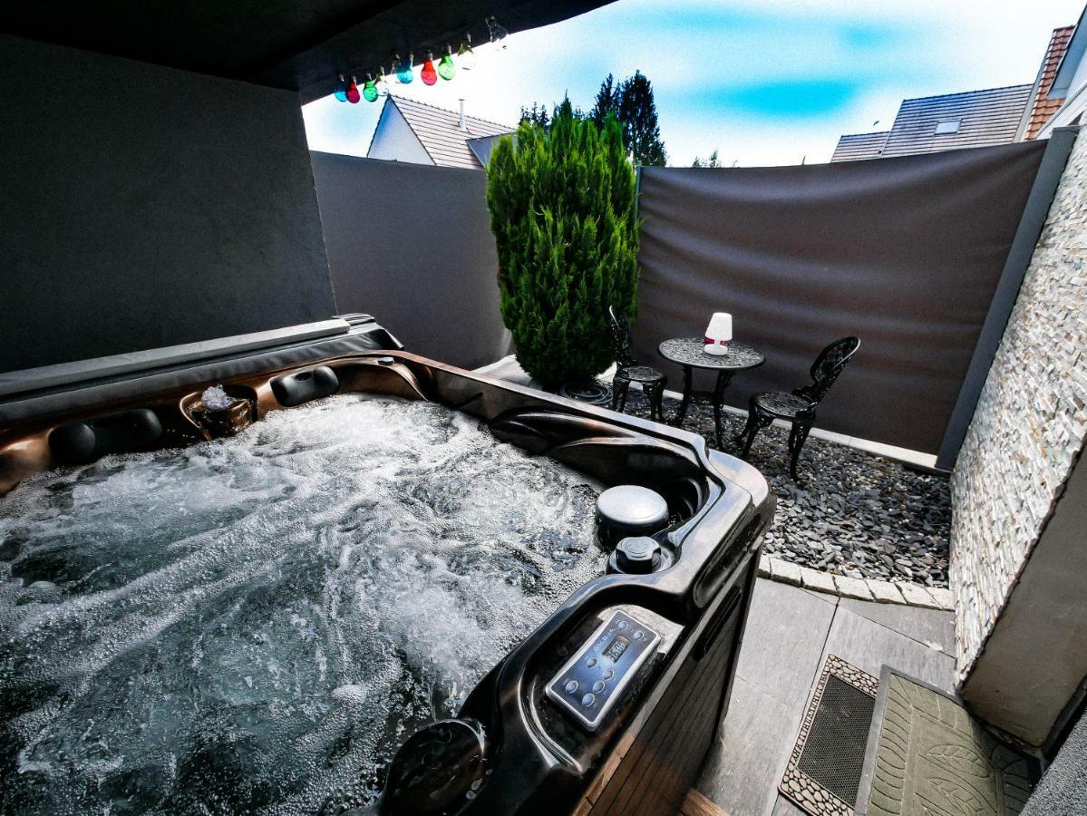 Gites Spa Strasbourg - Studio Romantique, Jacuzzi, Sauna, Terrasse Privee Furdenheim 外观 照片